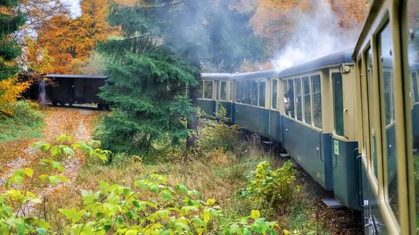 Vista Trem Vapor Movimento Mocanita Dentro Dele Vegetação Roménia — Fotografia de Stock