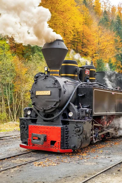 Blick Auf Den Aufgelösten Dampfzug Mocanita Auf Einem Bahnhof Hintergrund — Stockfoto