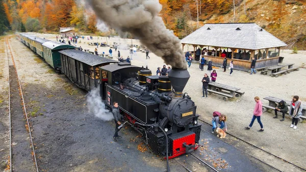 Viseu Sus Rumänien Oktober 2021 Drohnenaufnahme Des Dampfzuges Mocanita Einem — Stockfoto