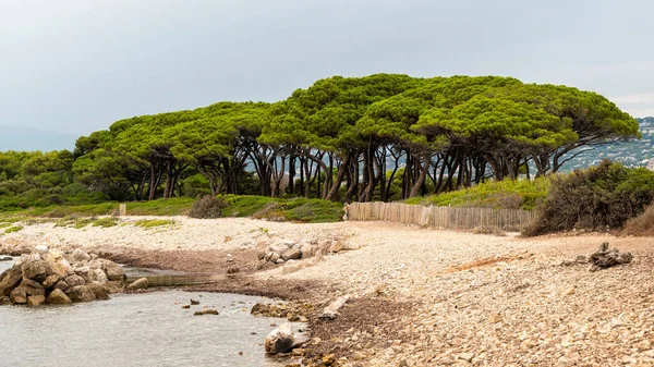 Utsikt Över Medelhavet Kusten Sainte Marguerite Hel Del Grönska Frankrike — Stockfoto