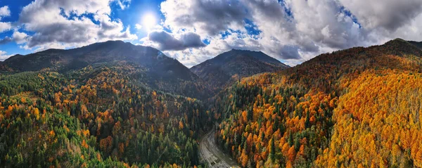 Romanya Daki Hava Aracı Doğaya Panoramik Açıdan Bakıyor Karpat Dağları — Stok fotoğraf