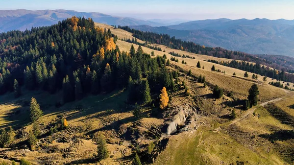 Romanya Doğanın Insansız Hava Aracı Görüntüsü Karpat Dağları Kısmen Yemyeşil — Stok fotoğraf