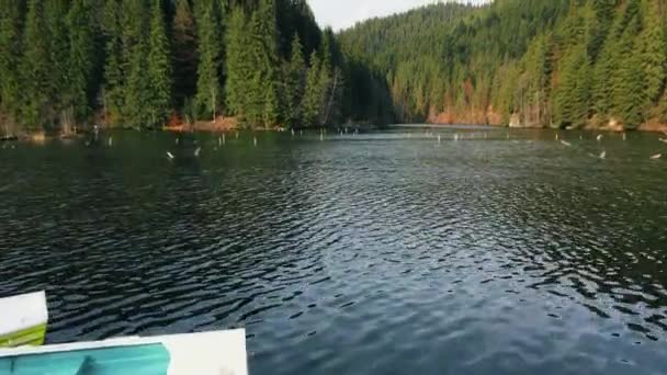 Antenowy Widok Przyrodę Rumunii Czerwone Jezioro Znak Dolinie Karpatach Bujny — Wideo stockowe