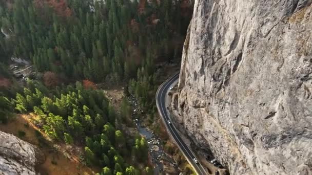 Vue Aérienne Par Drone Nature Roumanie Montagnes Des Carpates Route — Video