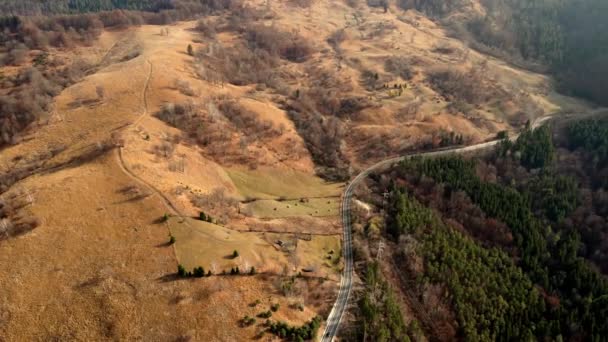 Letecký Pohled Přírodu Rumunsku Karpatské Hory Silnice Zažloutlý Kopec Pokrytý — Stock video