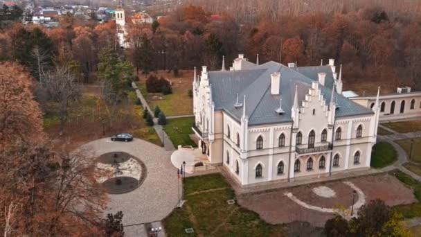 Ruginoasa ルーマニア 11月 2021 ルーマニアのアレクサンドル イオアン クーザ宮殿の空中ドローンビュー 周りの緑豊かな黄色の森 — ストック動画