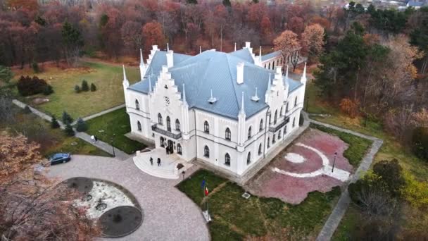 Ruginoasa ルーマニア 11月 2021 ルーマニアのアレクサンドル イオアン クーザ宮殿の空中ドローンビュー 周りの緑豊かな黄色の森 — ストック動画