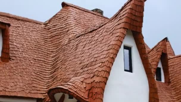 Castillo Clay Valle Las Hadas Vegetación Rumania — Vídeo de stock