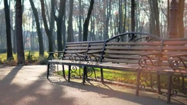 Romanya 'nın Iasi kentindeki Copou Park manzarası. Bank, çıplak ağaçlar, yeşil çimenler.