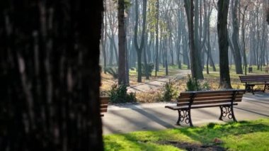 Romanya 'nın Iasi kentindeki Copou Park manzarası. Banklar, yollar, çıplak ağaçlar, yeşil çimenler