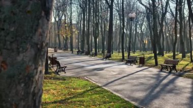 Romanya 'nın Iasi kentindeki Copou Park manzarası. Banklar, ara sokaklar, çıplak ağaçlar, yeşil çimenler