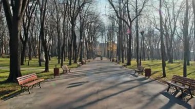 Romanya 'nın Iasi kentindeki Copou Park manzarası. Banklar, sokak, çıplak ağaçlar, yeşil çimenler, insanlar.
