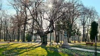 Romanya 'nın Iasi kentindeki Copou Park manzarası. Mihai Eminescu anıtı, sokak, çıplak ağaçlar, yeşil çimenler