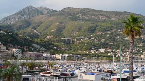 フランスのメントンにある海港の眺め 係留されたボートやヨット 背景に緑と建物で覆われた丘 — ストック動画