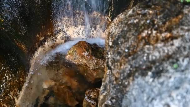 Water Stream Passing Rocks — Stock Video