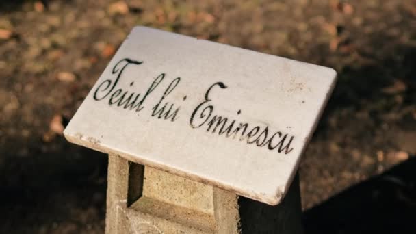 Eminescu Linden Tree Stone Sign Copou Park Iasi Ρουμανία — Αρχείο Βίντεο