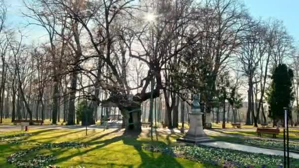 ルーマニアのヤシにあるコポ公園の眺め Mihai Eminescu記念碑 裸の木 緑の草 — ストック動画