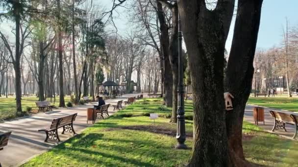 Iasi Roumanie Décembre 2021 Vue Parc Copou Allée Arbres Nus — Video