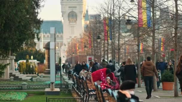 Iasi Romania 2021年12月 市街地の街並み 徒歩圏内に複数の人々 クリスマスの装飾が施された通り 文化宮殿 — ストック動画