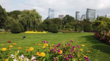 BOSTON, ABD - Eylül 2019: ABD 'de bir Boston Halk Bahçesi manzarası. Yeşillik, sincap, yürüyen insanlar, arka plandaki binalar.