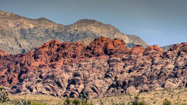 Nevada, ABD 'deki Red Rock Kanyonu' nda doğa manzarası. İnce bitki örtüsü, kırmızı kayalar, kayalıklar