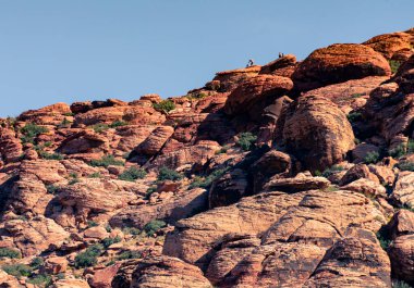 Nevada, ABD 'deki Red Rock Kanyonu' nda doğa manzarası. İnce bitki örtüsü, kırmızı kayalar, uçurumun tepesindeki insanlar.
