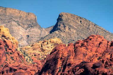 Nevada, ABD 'deki Red Rock Kanyonu' nda doğa manzarası. İnce bitki örtüsü, kırmızı kayalar, kayalıklar