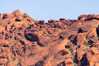 Nevada, ABD 'deki Red Rock Kanyonu' nda doğa manzarası. İnce bitki örtüsü, kırmızı kayalar, kayalıklar