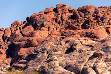 Nevada, ABD 'deki Red Rock Kanyonu' nda doğa manzarası. İnce bitki örtüsü, kırmızı kayalar, kayalıklar