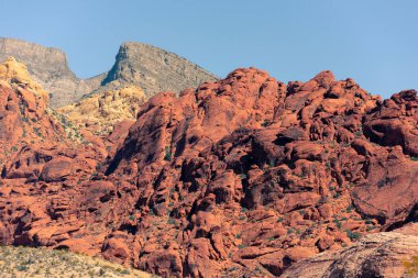 Nevada, ABD 'deki Red Rock Kanyonu' nda doğa manzarası. İnce bitki örtüsü, kırmızı kayalar, kayalıklar