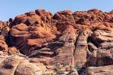 Nevada, ABD 'deki Red Rock Kanyonu' nda doğa manzarası. İnce bitki örtüsü, kırmızı kayalar, kayalıklar