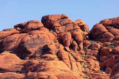 Nevada, ABD 'deki Red Rock Kanyonu' nda doğa manzarası. İnce bitki örtüsü, kırmızı kayalar, kayalıklar