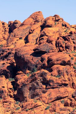 Nevada, ABD 'deki Red Rock Kanyonu' nda doğa manzarası. İnce bitki örtüsü, kırmızı kayalar, kayalıklar