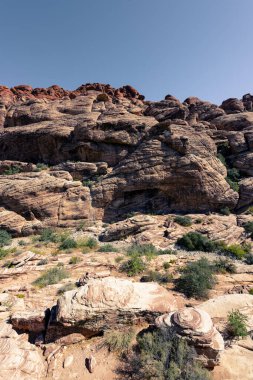 Nevada, ABD 'deki Red Rock Kanyonu' nda doğa manzarası. İnce bitki örtüsü, kırmızı kayalar, kayalıklar