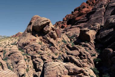 Nevada, ABD 'deki Red Rock Kanyonu' nda doğa manzarası. İnce bitki örtüsü, kırmızı kayalar, kayalıklar