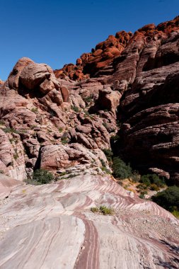 Nevada, ABD 'deki Red Rock Kanyonu' nda geniş bir doğa manzarası var. İnce bitki örtüsü, kırmızı kayalar, kayalıklar