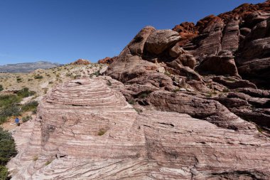 Nevada, ABD 'deki Red Rock Kanyonu' nda doğa manzarası. İnce bitki örtüsü, kırmızı kayalar, kayalıklar