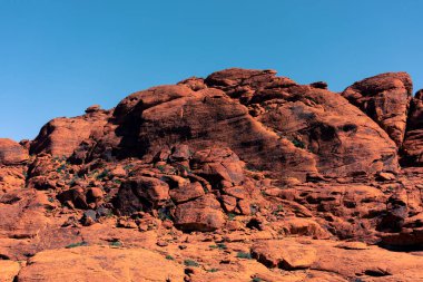 Nevada, ABD 'deki Red Rock Kanyonu' nda doğa manzarası. İnce bitki örtüsü, kırmızı kayalar, kayalıklar