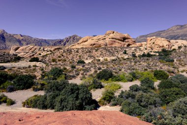Nevada, ABD 'deki Red Rock Kanyonu' nda doğa manzarası. İnce bitki örtüsü, kırmızı kayalar, kayalıklar