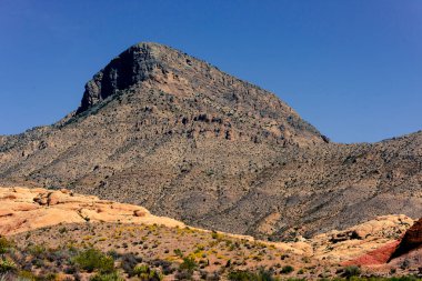 Nevada, ABD 'deki Red Rock Kanyonu' nda doğa manzarası. İnce bitki örtüsü, kırmızı kayalar, kayalıklar