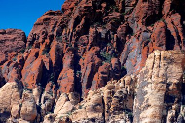 Nevada, ABD 'deki Red Rock Kanyonu' nda doğa manzarası. İnce bitki örtüsü, kırmızı kayalar, kayalıklar