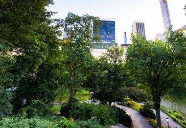 New York, ABD 'deki Central Park manzarası. Gölet, bir sürü yeşillik, gökdelenler