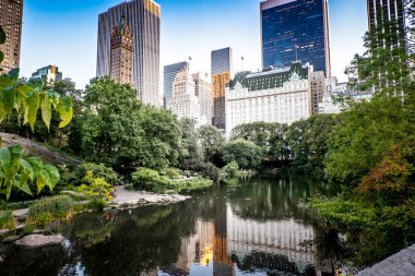 New York, ABD 'deki Central Park manzarası. İnsanlarla dolu gölet, bir sürü yeşillik, gökdelenler.