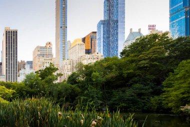 New York, ABD - Eylül 2019: Şehir merkezindeki Central Park manzarası. Gölet, bir sürü yeşillik, gökdelenler