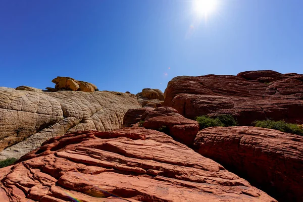 Widok Przyrodę Kanionie Red Rock Nevadzie Usa Roślinność Rzadka Czerwone — Zdjęcie stockowe