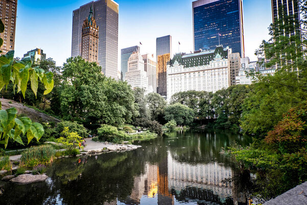 View of the Central Park in New York, USA. Pond with people, a lot of greenery, skyscrapers