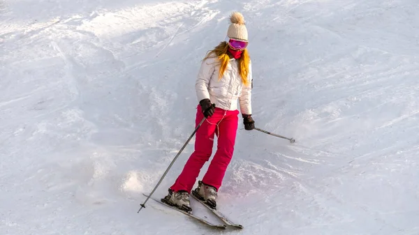 Skiër Rijden Een Skipiste Karpaten Winter Roemenië Skigebied — Stockfoto