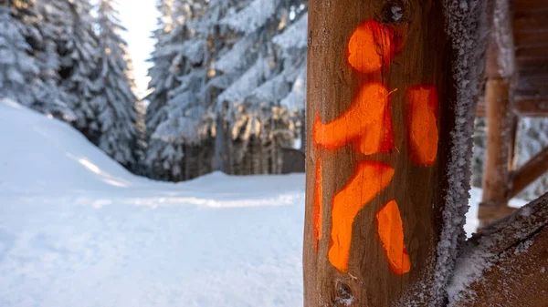 Wanderzeichen Einem Holzzaun Schneebedeckten Wald Den Karpaten Rumänien — Stockfoto