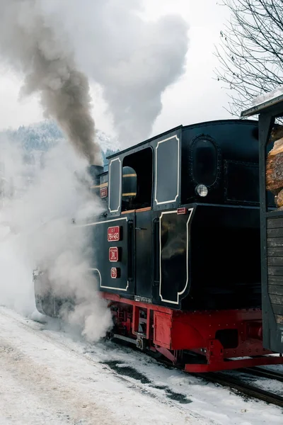 Vista Trem Vapor Movimento Mocanita Uma Estação Ferroviária Inverno Neve — Fotografia de Stock
