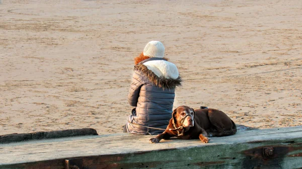 Una Mujer Con Perro Sentado Costa Del Mar Irlanda Liverpool — Foto de Stock